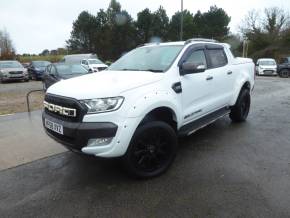 Ford Ranger Pick Up Double Cab Wildtrak 3.2 TDCi 200 PS Automatic No Vat!! Pick Up Diesel Frozen White at Gliddon Cars Brixham