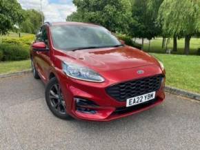FORD KUGA 2022 (22) at Gliddon Cars Brixham