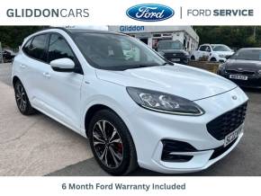 FORD KUGA at Gliddon Cars Brixham
