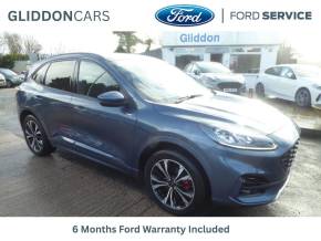 FORD KUGA at Gliddon Cars Brixham