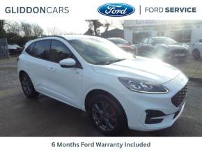 FORD KUGA at Gliddon Cars Brixham