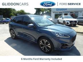 FORD KUGA at Gliddon Cars Brixham