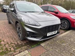 FORD KUGA at Gliddon Cars Brixham