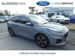 FORD KUGA at Gliddon Cars Brixham