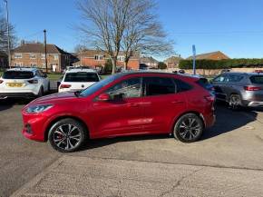 FORD KUGA at Gliddon Cars Brixham