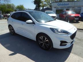 FORD KUGA at Gliddon Cars Brixham