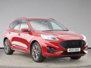 FORD KUGA at Gliddon Cars Brixham