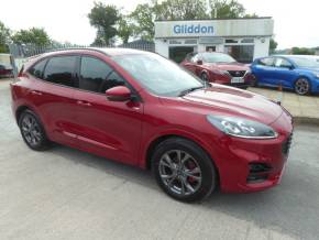 FORD KUGA at Gliddon Cars Brixham