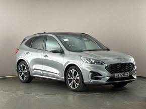 FORD KUGA at Gliddon Cars Brixham